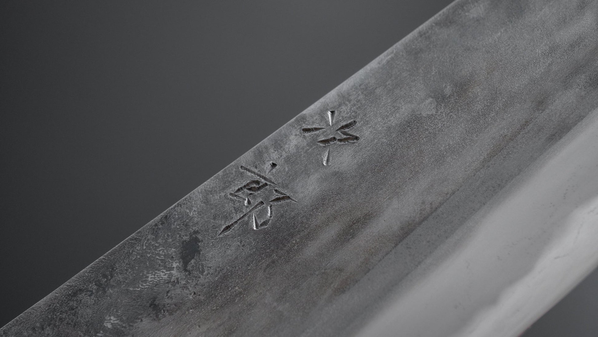 Jiro Tsuchime Wa Gyuto 270mm Taihei Tagayasan Handle (#294) - HITOHIRA