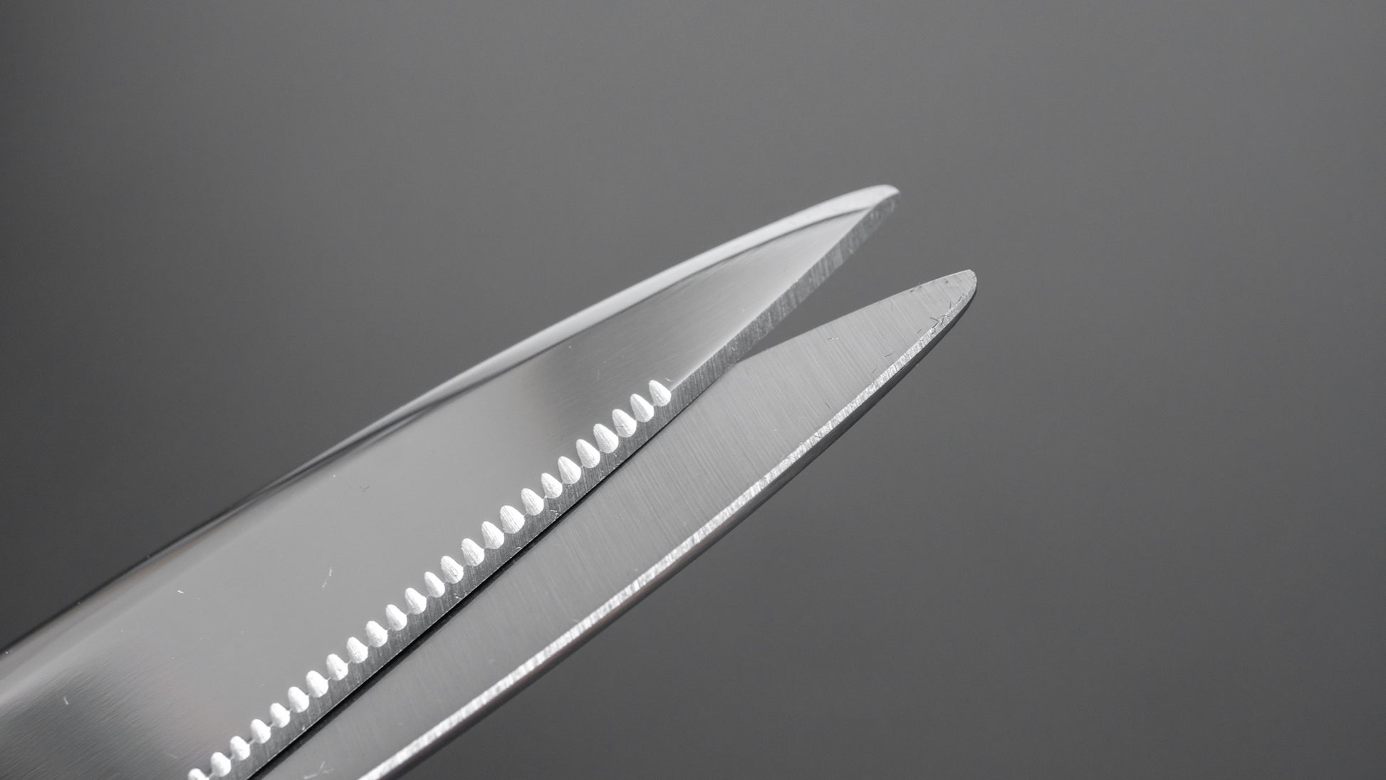 Stainless Steel Japanese Kitchen Scissors Detachable [Diawood]