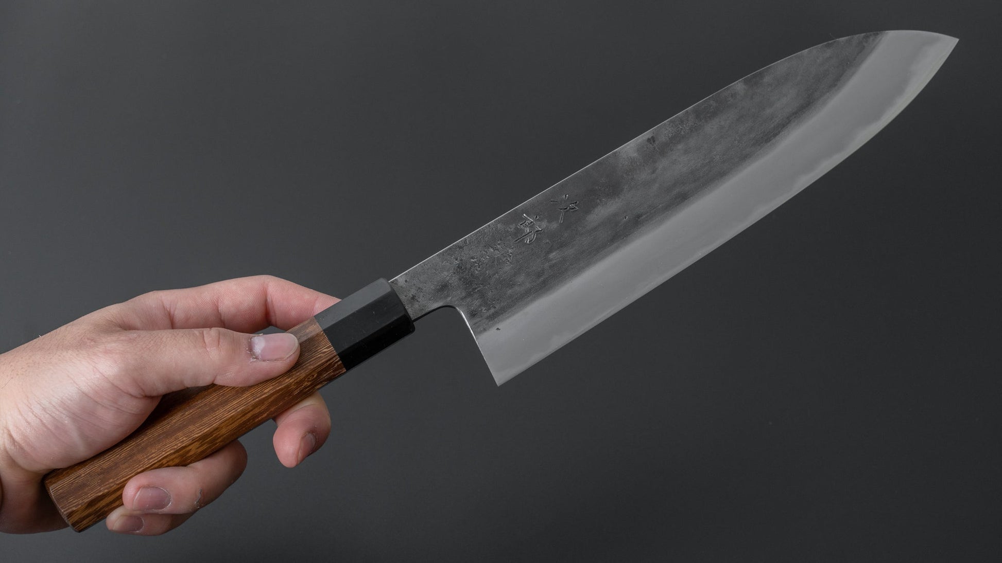 Jiro Tsuchime Wa Gyuto 240mm Taihei Tagayasan Handle (#299) - HITOHIRA