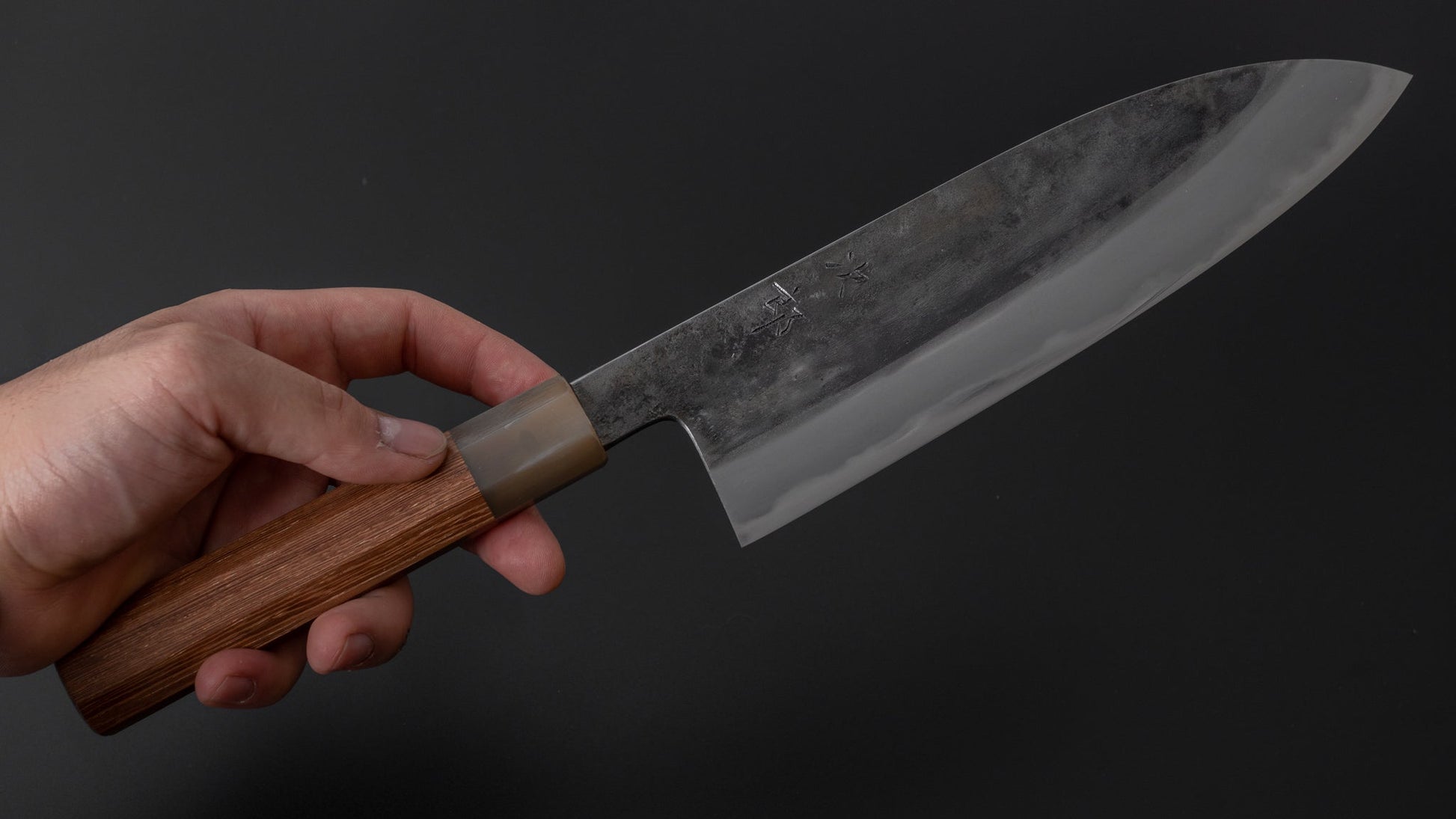 Jiro Tsuchime Wa Gyuto 210mm Taihei Tagayasan Handle (#303) - HITOHIRA