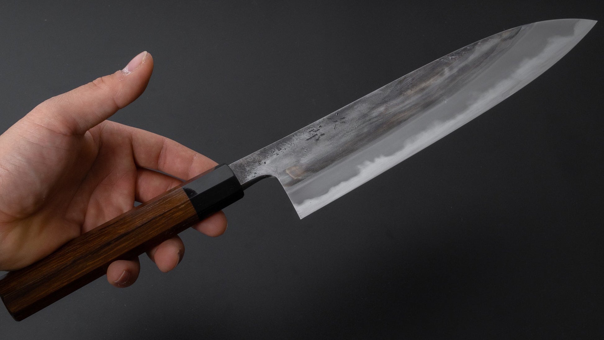 Jiro Tsuchime Wa Gyuto 240mm Taihei Tagayasan Handle (#321) - HITOHIRA