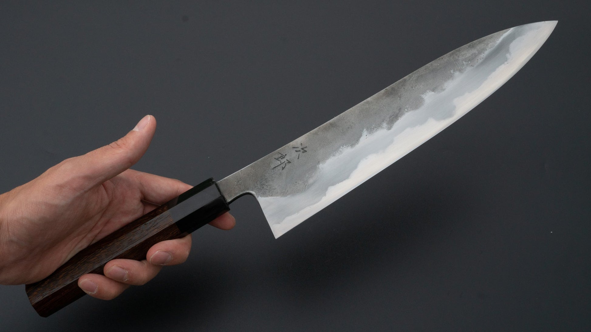 Jiro Tsuchime Wa Gyuto 240mm Tagayasan Handle (#007) | HITOHIRA